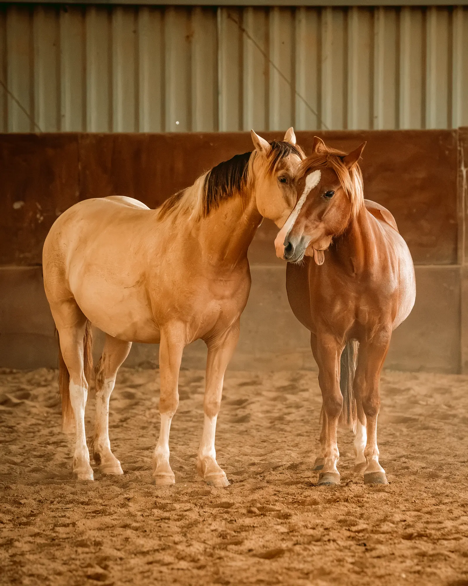 Enfant apprenant à monter à poney à l'Écurie de Bàn