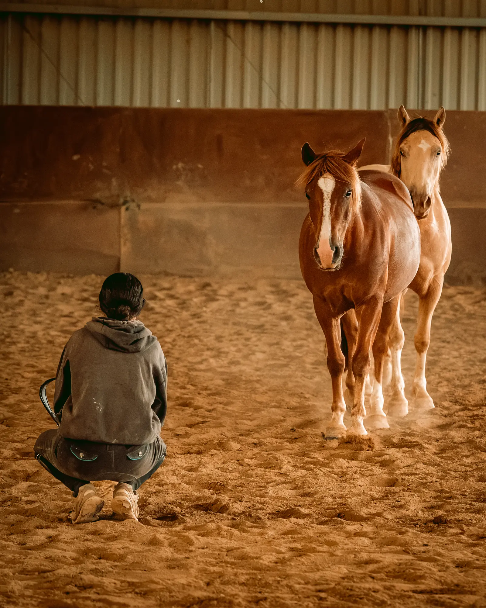 Enfant à poney