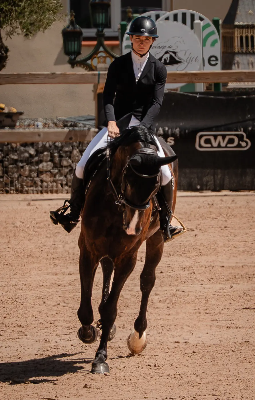Travail du cheval de sport