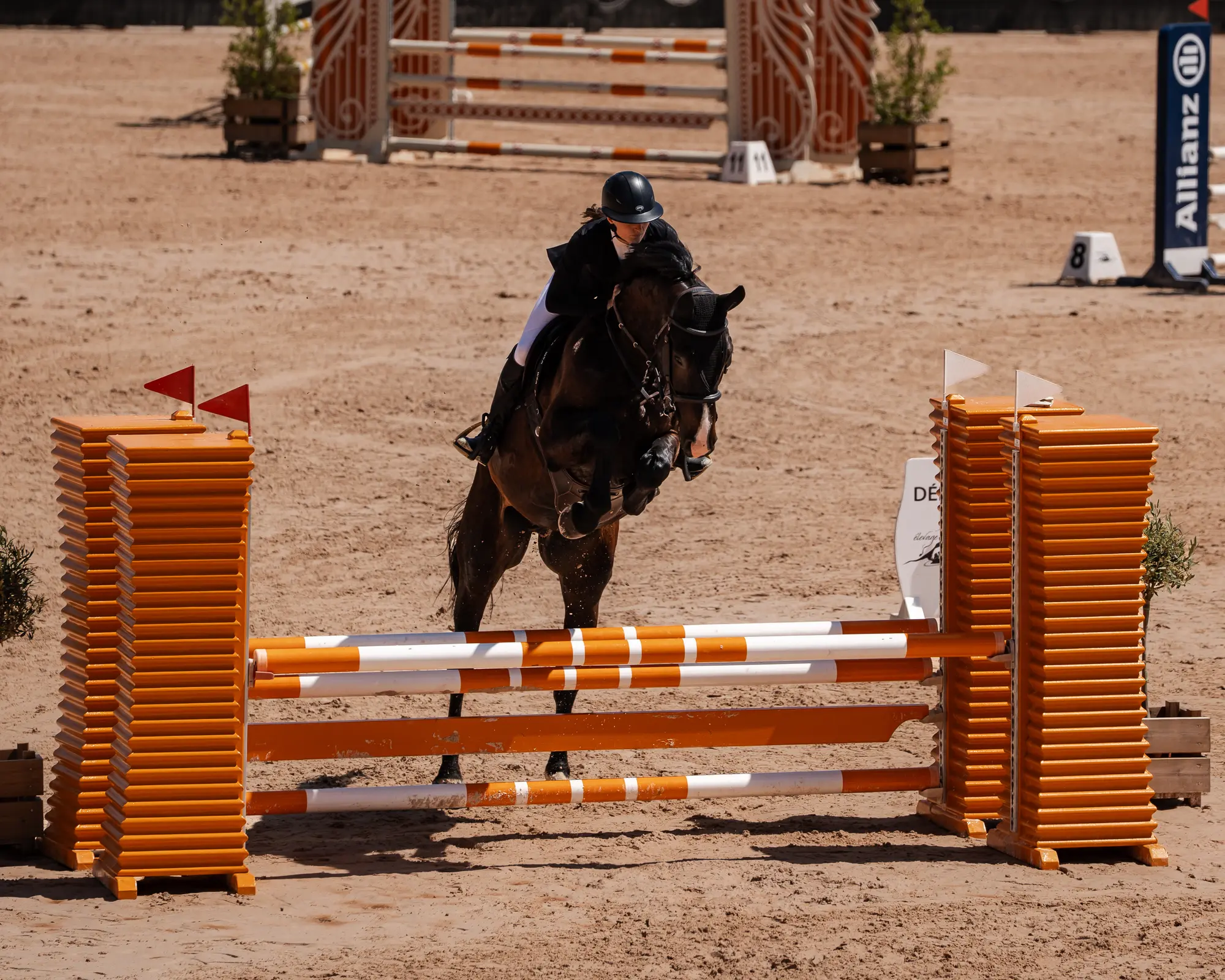 Cours de saut d'obstacles
