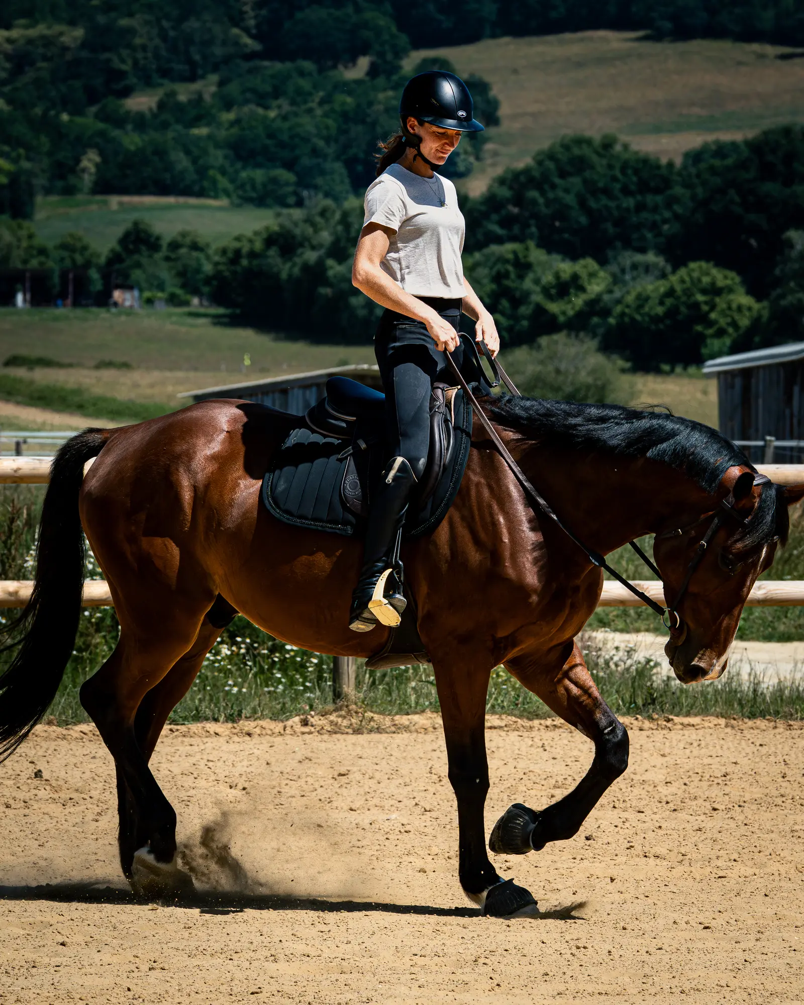 Sortie encadrée à cheval dans le Comminges